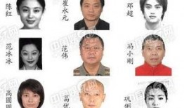 吃瓜蒙主间谍身份解析 明星黑料在哪找,吃瓜蒙主间谍身份揭秘，明星黑料搜集全攻略